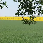 Dom wakacyjny Gemuetliches In Brusow Mit Garten
