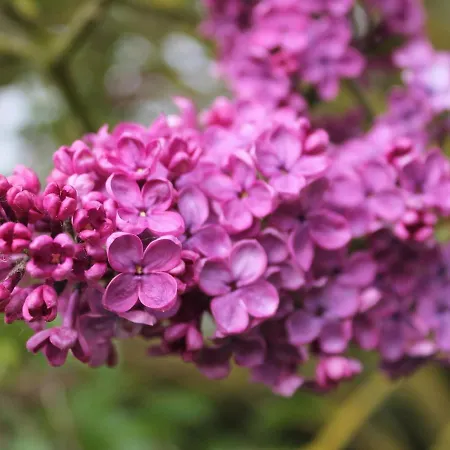 Gemuetliches In Brusow Mit Garten * Kröpelin