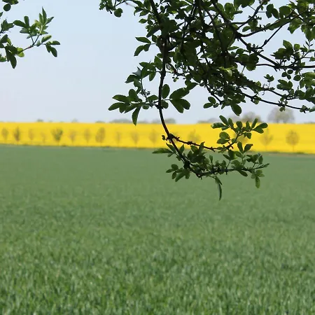 בית נופש Gemuetliches In Brusow Mit Garten