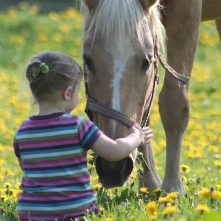 בית נופש Gemuetliches In Brusow Mit Garten Kröpelin