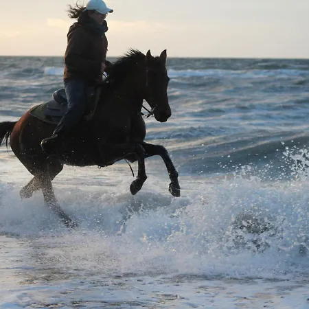 Gemuetliches In Brusow Mit Garten