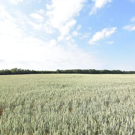 Gemuetliches In Brusow Mit Garten Kröpelin