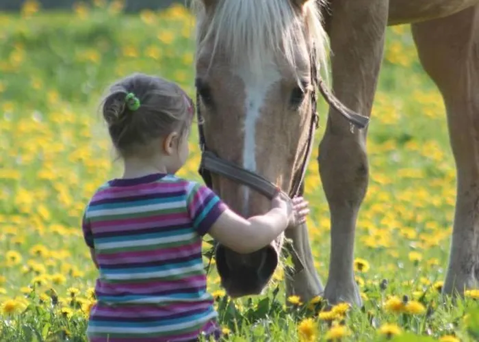 Дом отдыха Gemuetliches In Brusow Mit Garten Kropelin